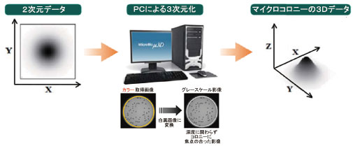 図5 2D影像の3Dデータへの変換