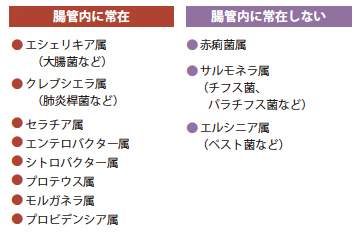 表1. 代表的な腸内細菌科細菌の菌種