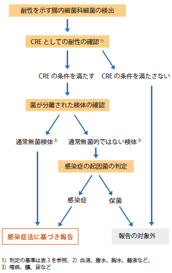 図2．感染症法に基づくCRE 感染症の届出のフローチャート