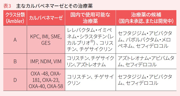 主なカルバペネマーゼとその治療薬