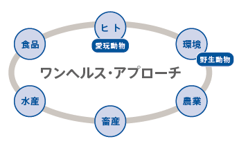 図	ヒト、動物、食品における耐性菌監視・対策の協働体制である「ワンヘルス・アプローチ」の概念